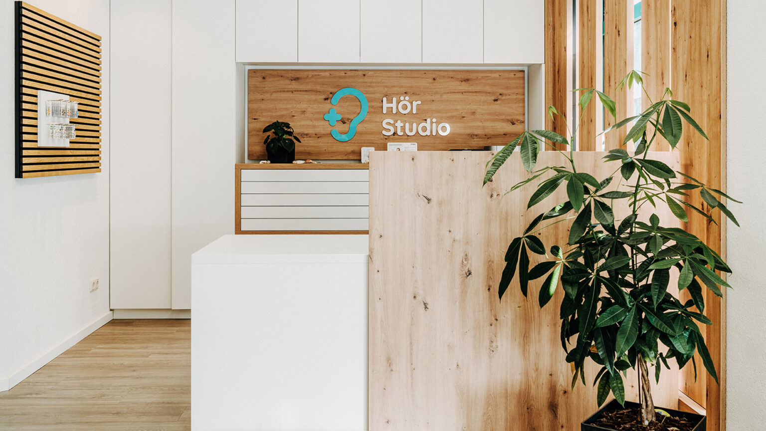 Einladender Empfangsbereich des Hörstudios mit modernem Holzdesign, weißen Möbeln und einer großen Pflanze im Vordergrund. Im Hintergrund prangt das türkis-weiße Logo auf einer Holztafel.